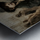 Hollow Eyed Silence Metal print