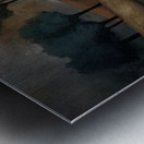 Reflections Before Night Metal print