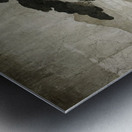 Beneath the Boughs Metal print