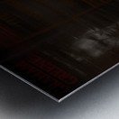 Silent Libraries Metal print