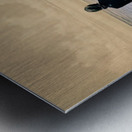 Saltwind Memory Metal print