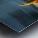 Amber on the Move Metal print