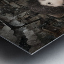 The First Snowfall Metal print