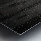 Frost on Barren Limbs Metal print