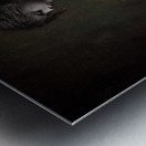 Hidden Hope Metal print