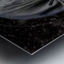 Portrait in Winter s Grasp Metal print