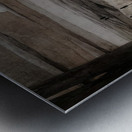 Where the Land Holds Us Metal print