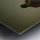 Restorative Ground Metal print