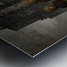 What Rises From Here Metal print