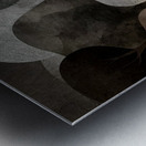 Between Shadow and Light Metal print