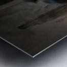 Passing Through Time Metal print