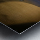 Crossing the Quiet Divide Metal print