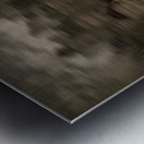 The Vanishing Family Metal print