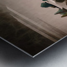 A Quiet Walk Metal print