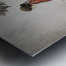 The Listening Path Metal print