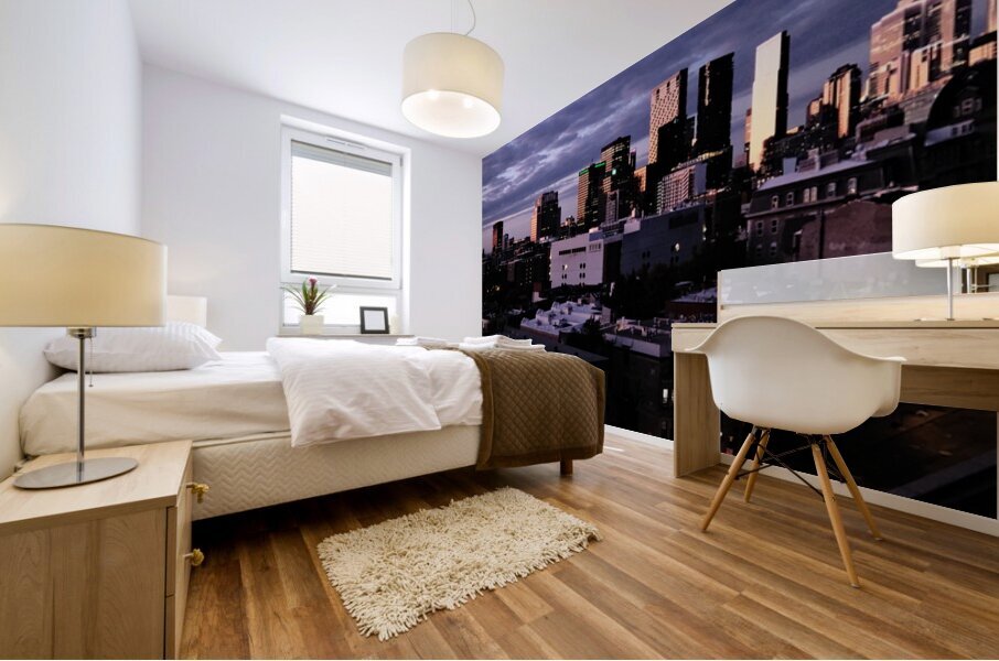 Montreal Morning Mural print
