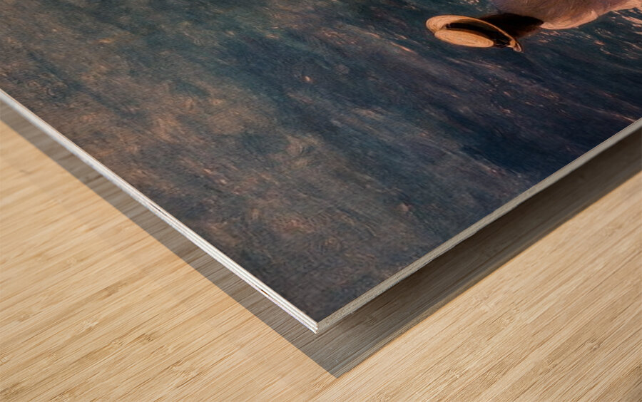 Draped in Sunlight Wood print