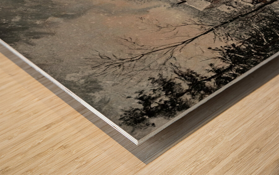 Frozen Village Comes to Life Wood print