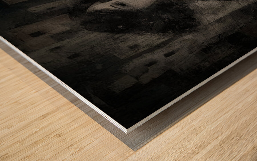 Compelled by Shadows Wood print