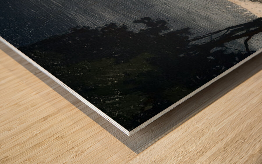 The Darkness I Know Wood print