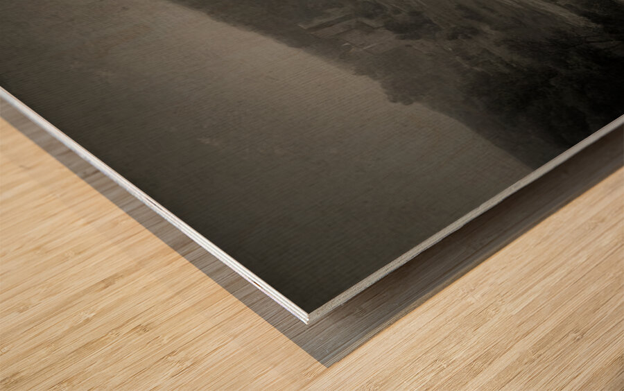 The Weight of Silence Wood print