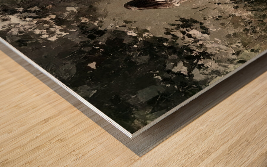 In the Quiet Meadow Wood print