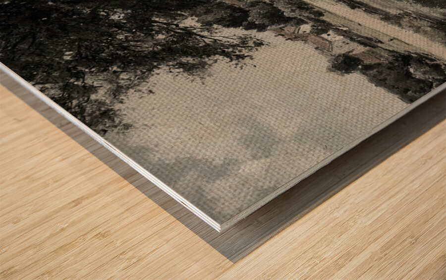 Echoes of an Afternoon Wood print