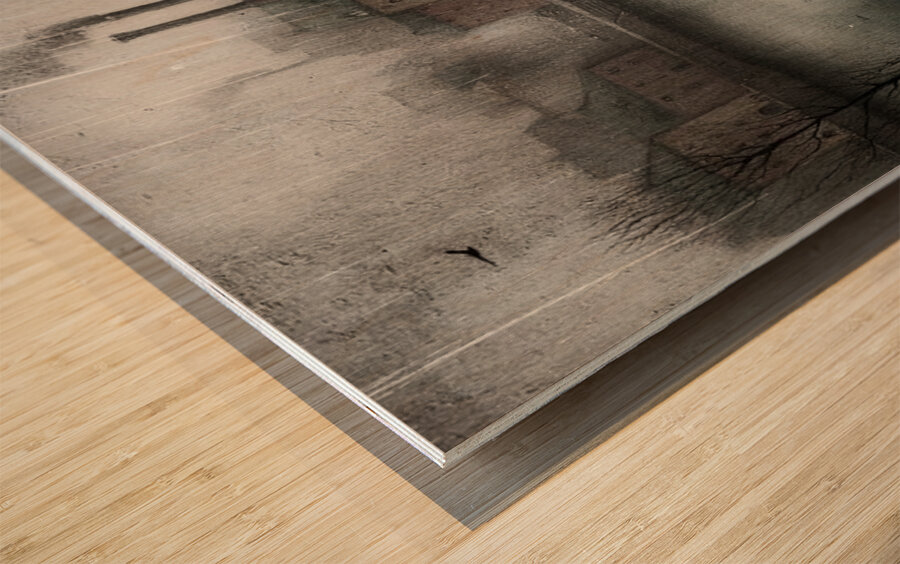 Ashes in the Rain Wood print