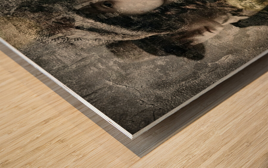 Forgotten Faces Wood print