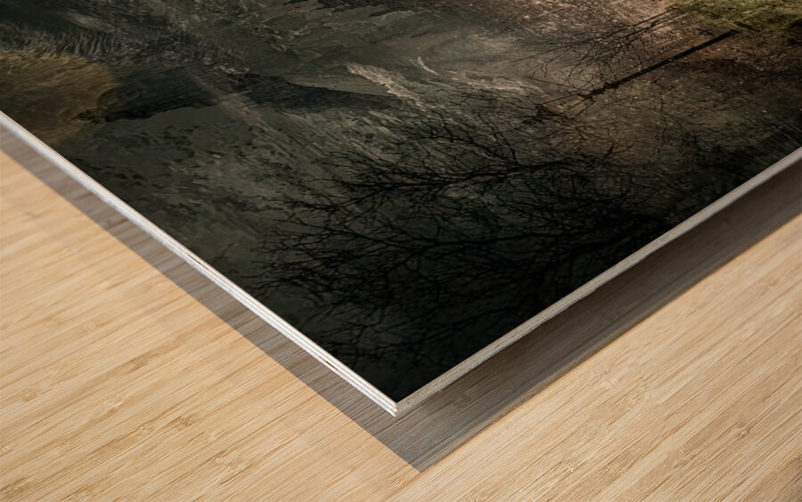 The City Between Dreams Wood print