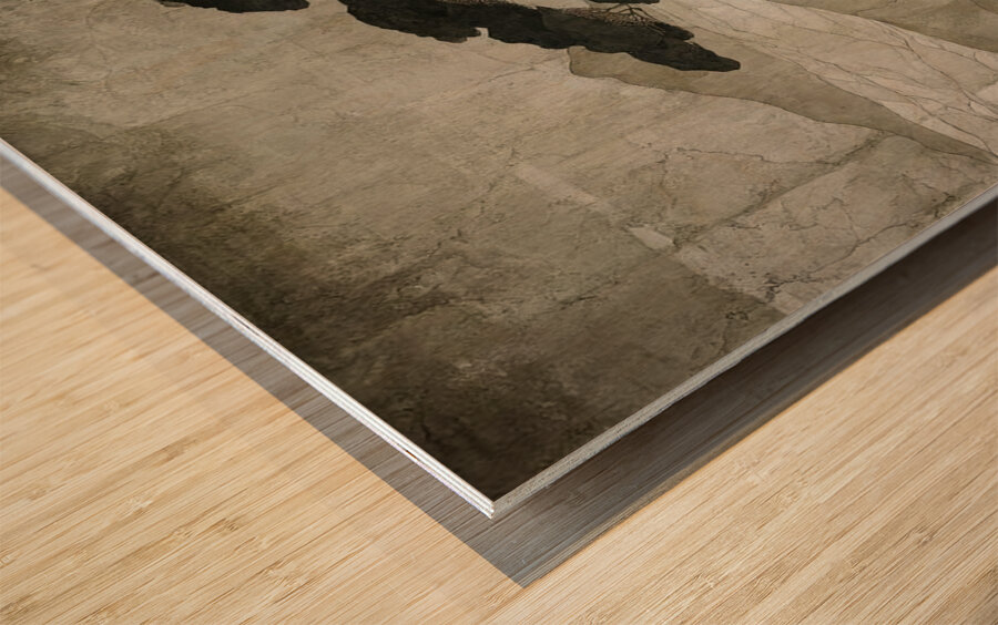 Beneath the Boughs Wood print