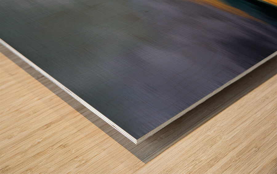 Shadows in Motion Wood print