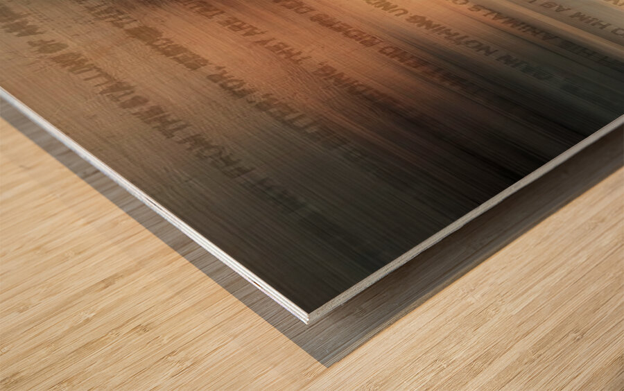 The Vanishing Script Wood print