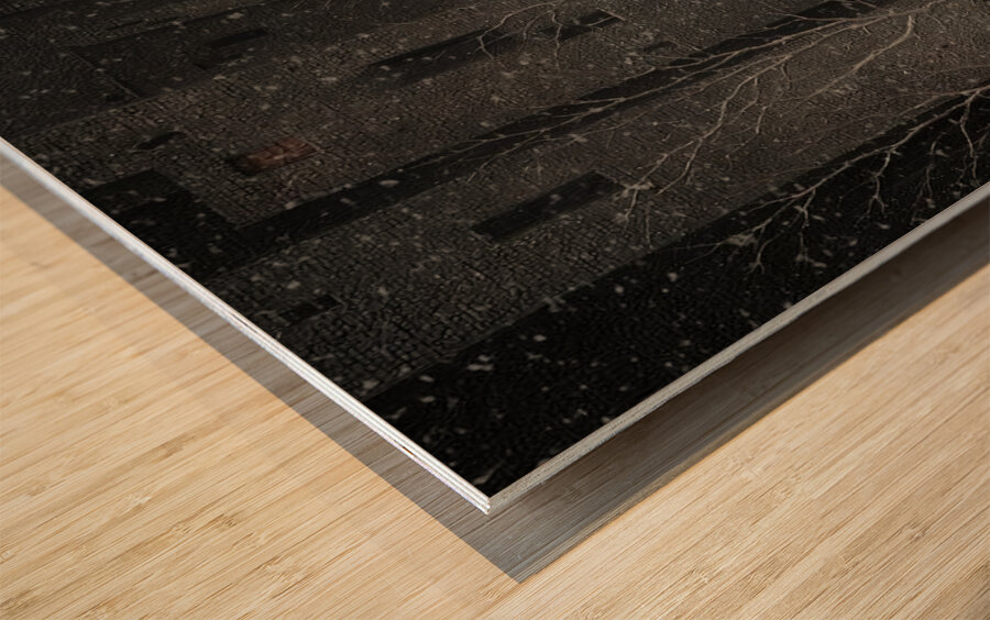 Frost on Barren Limbs Wood print