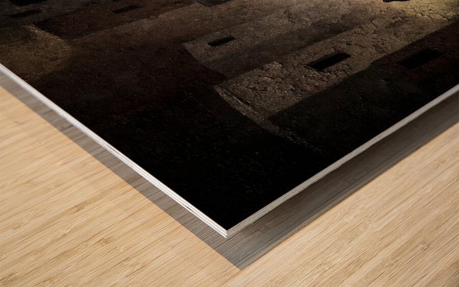 Ashlight on Silhouettes Wood print