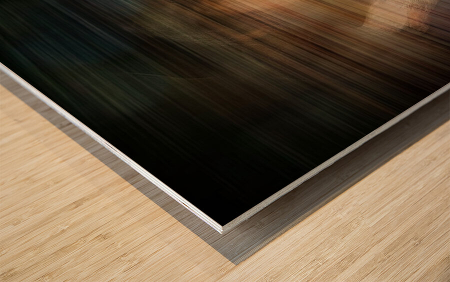 Motion as Confession Wood print