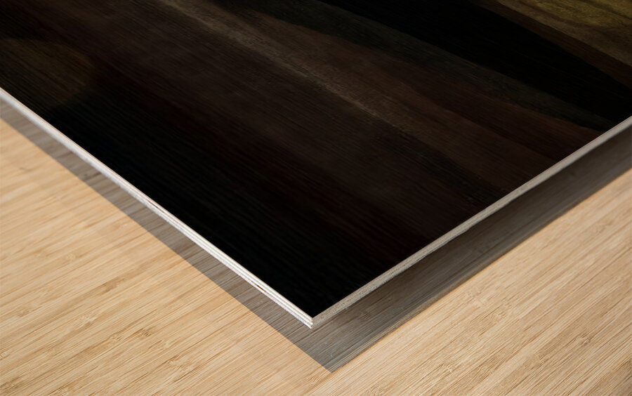 Toward an Unnamed Light Wood print