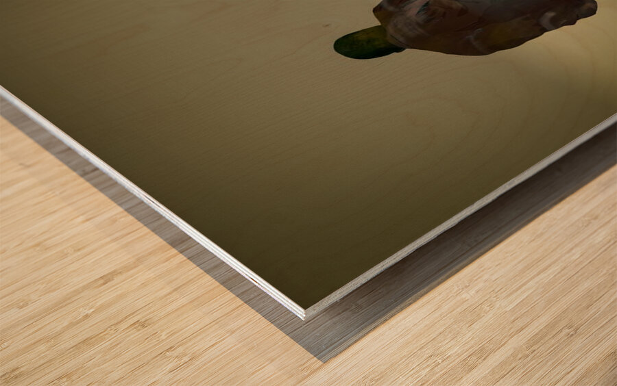 Restorative Ground Wood print