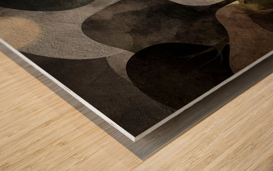 Between Shadow and Light Wood print