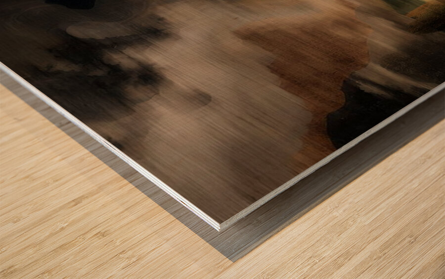 Burnished Silence Wood print