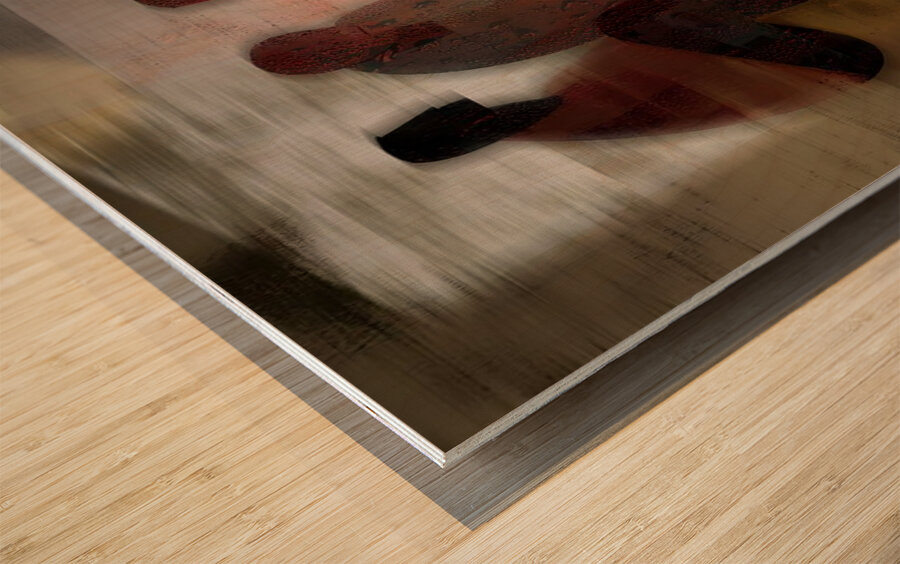 Circle of Embers Wood print