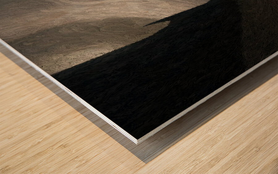 The Last Light Wood print