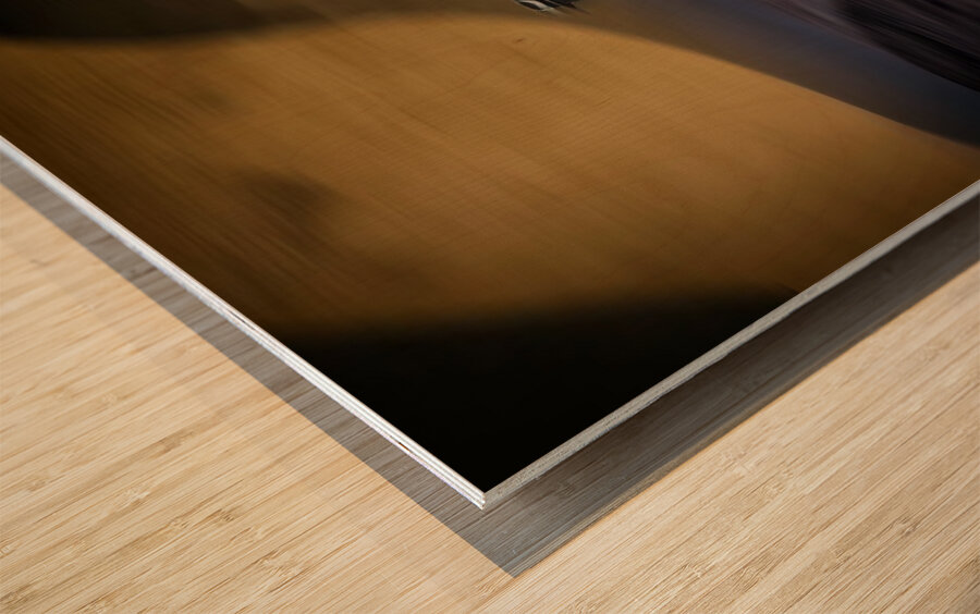 Crossing the Quiet Divide Wood print