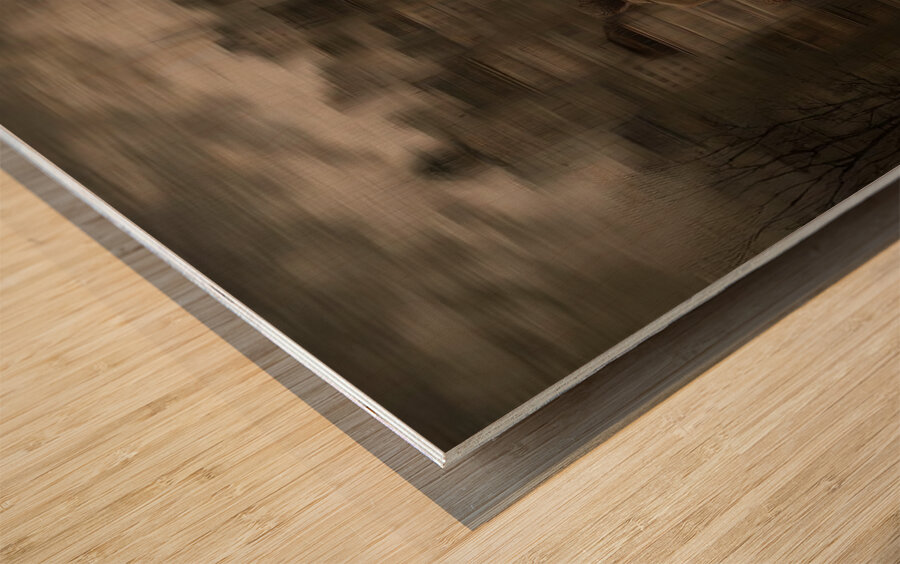 The Vanishing Family Wood print