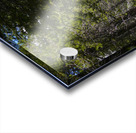 Country Road Acrylic print