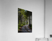 Country Road Acrylic Print