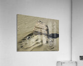 Beach Sculpture Acrylic Print