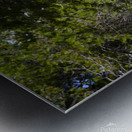 Country Road Metal print