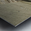 Beach Sculpture Metal print