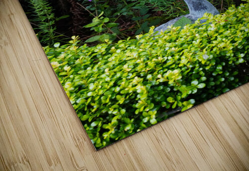 Stone Crane in Foliage Fred Pierson Images puzzle